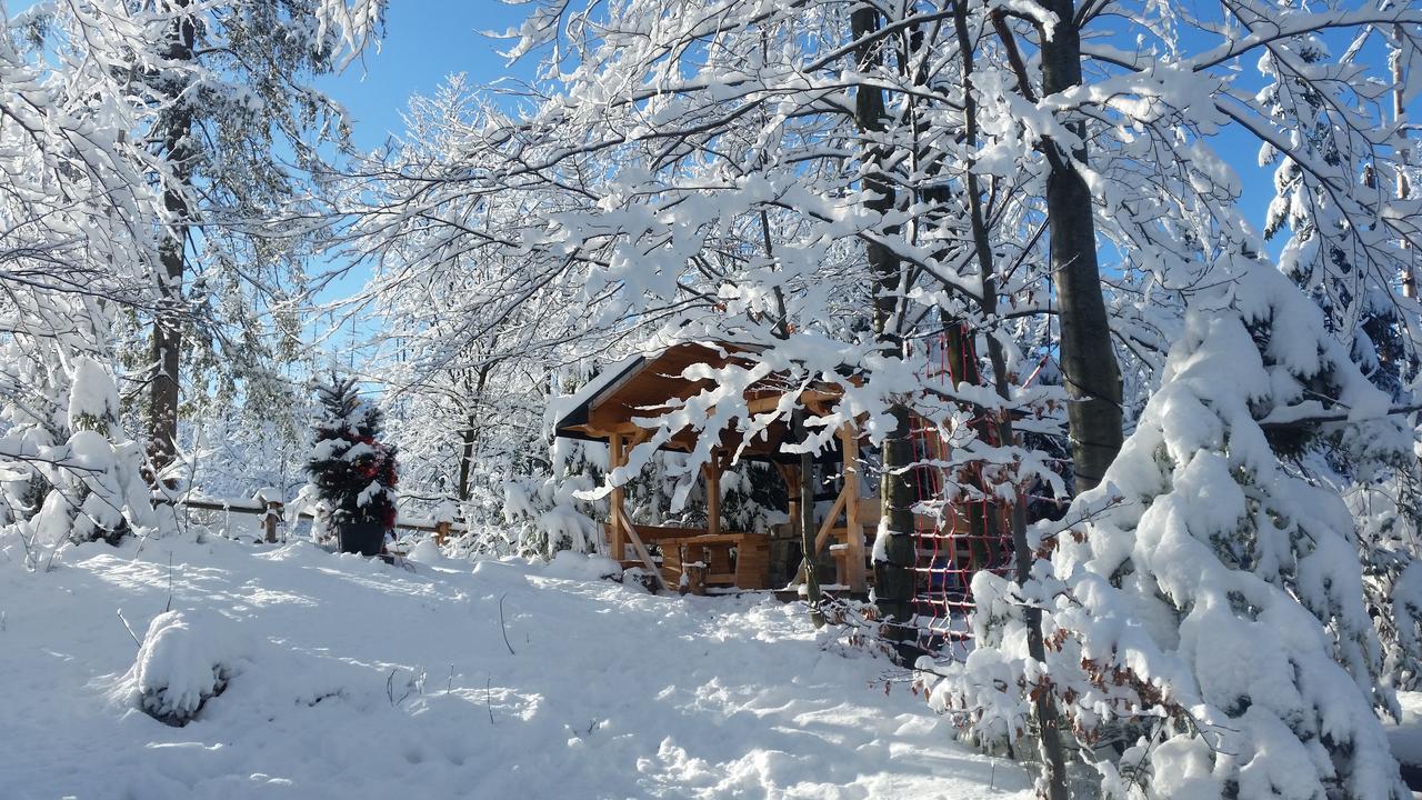 Willa Gusia, Apartamenty Zakopane Exterior foto